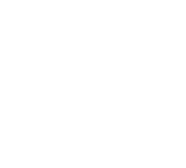60 Granos Logo